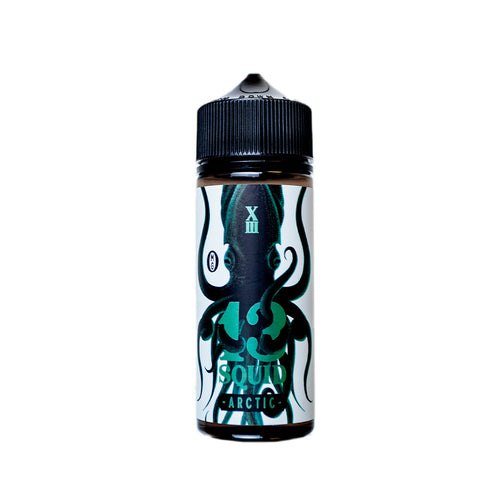 13 Squid Arctic Ice Cold Double Menthol 100ml Shortfill E-Liquid